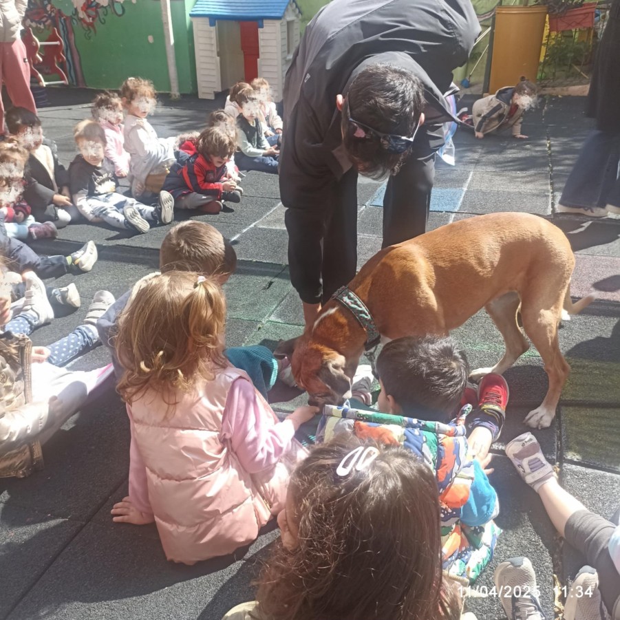 Συνεχίζεται το πρόγραμμα φιλοζωικής ευαισθητοποίησης στα σχολεία του Δήμου Βύρωνα με τον 1ο Παιδικό Σταθμό