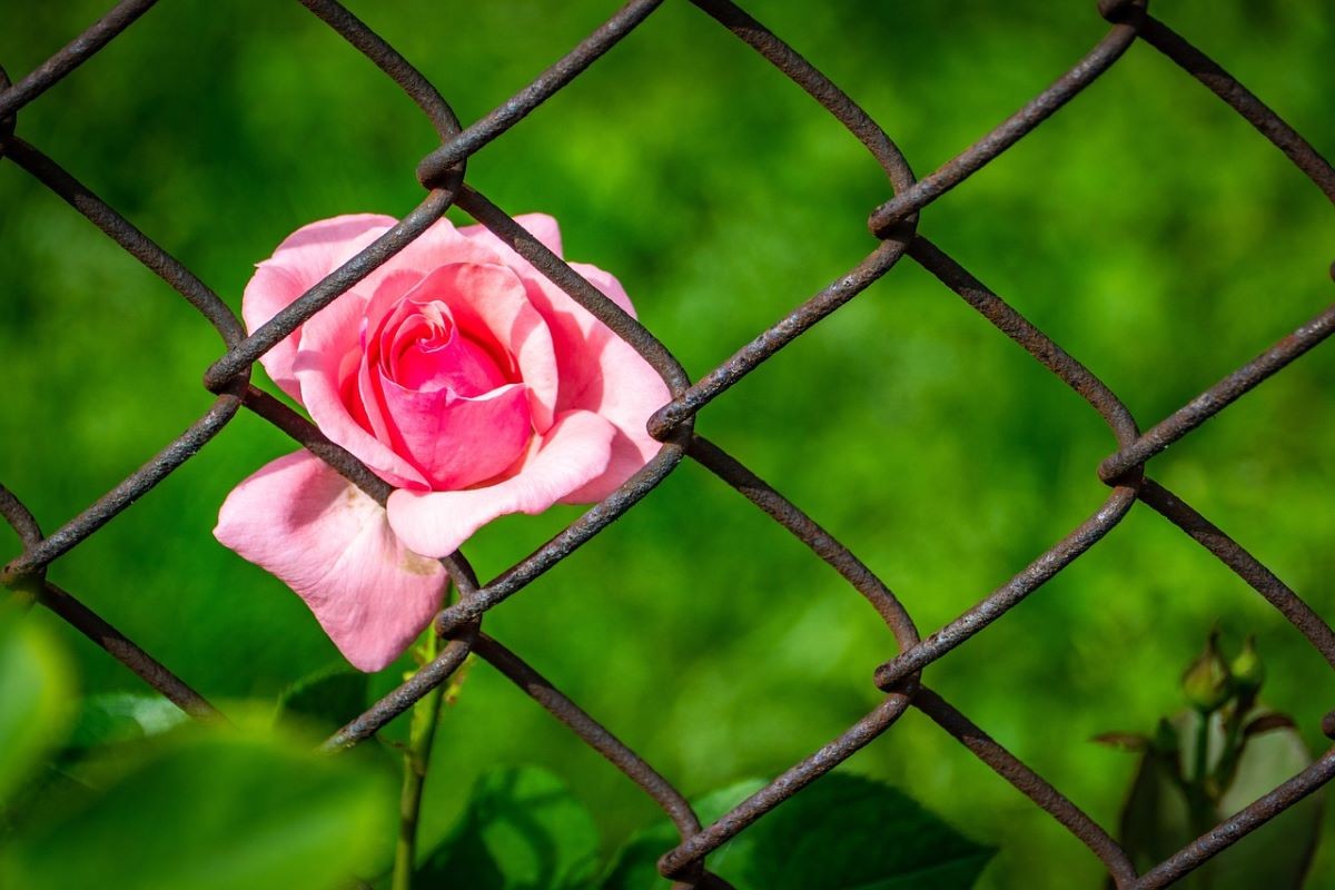 Παράδοση ειδών ατομικής υγιεινής στις γυναικείες φυλακές Κορυδαλλού
