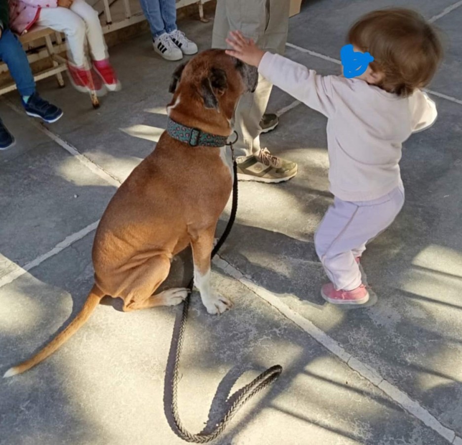 Σεμινάριο φιλοζωϊκής ευαισθητοποίησης στον 7ο Παιδικό Σταθμό από την Υπηρεσία Αστικής Πανίδας Δήμου Βύρωνα
