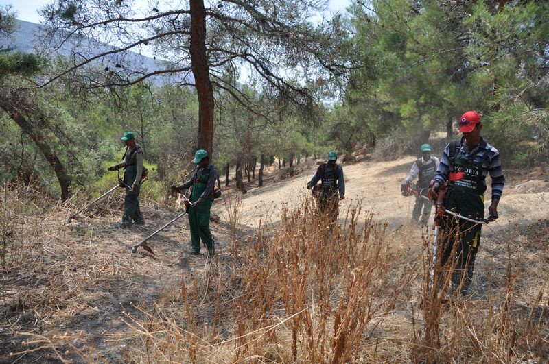 Ολοκληρώθηκαν οι καθαρισμοί της αντιπυρικής περιόδου <br>«Ασπίδα» προστασίας για τα δάση και τα πάρκα του δήμου μας </br>