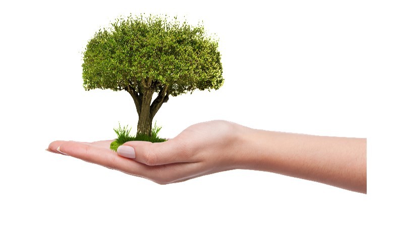 Την Τετάρτη 11 Μαρτίου η δενδροφύτευση μαθητών στον Υμηττό που οργανώνουν ο Δήμος Βύρωνα και ο ΣΠΑΥ