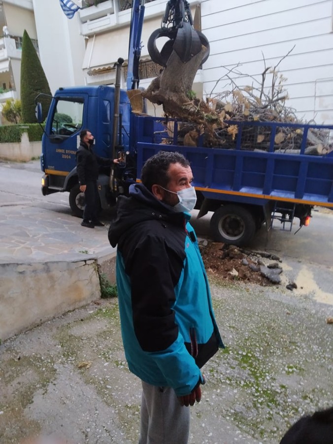 Άμεση ανταπόκριση της Πολιτικής Προστασίας για την απομάκρυνση δέντρου που έπεσε λόγω των ισχυρών ανέμων