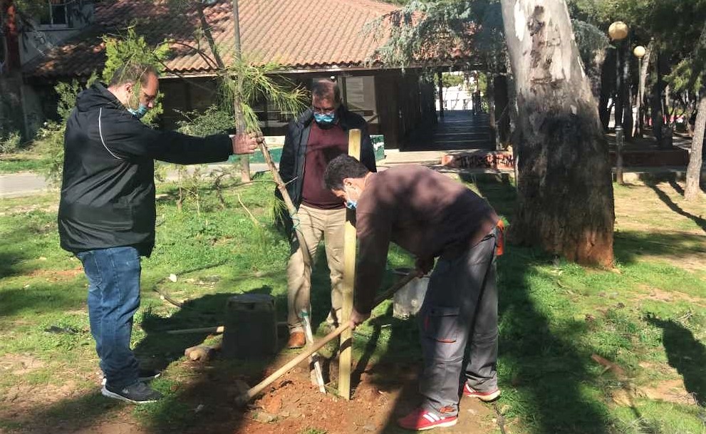 Εκατόν-έντεκα (111) νέα δένδρα και συντήρηση - αποκατάσταση ζημιών, σε Αγία Τριάδα και Ανάληψη