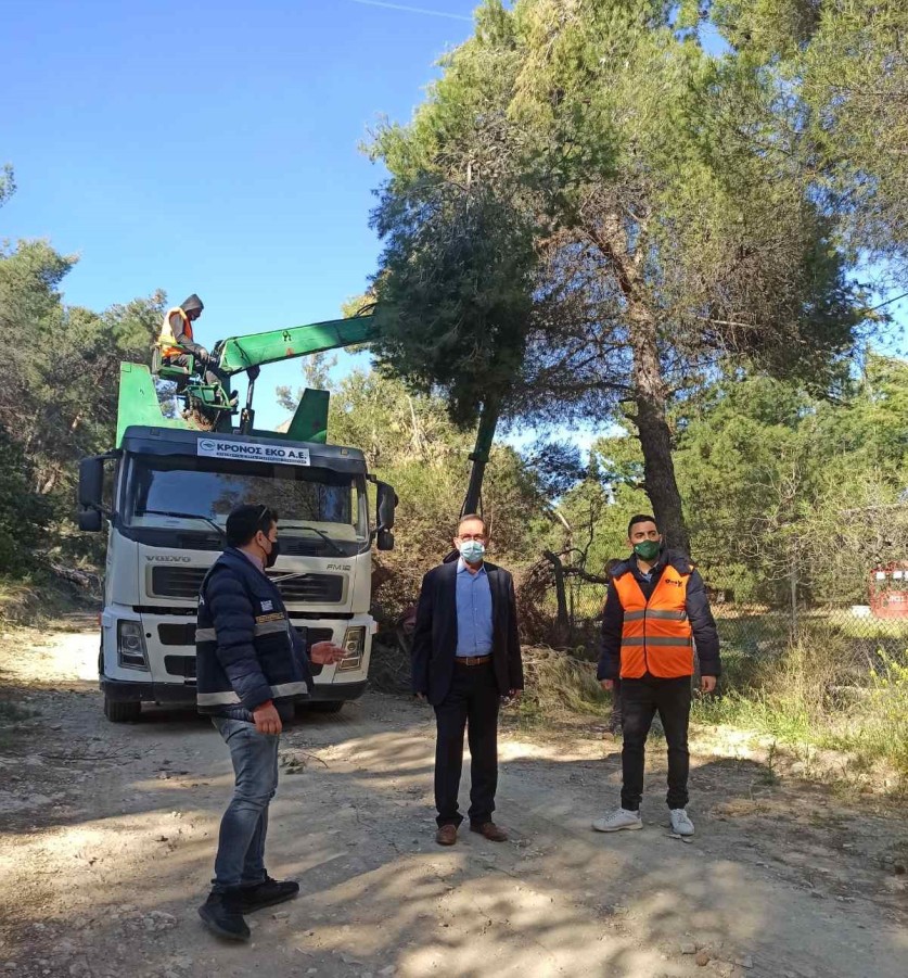 Αποκομιδή σπασμένων κλαδιών στον Υμηττό ενόψει της αντιπυρικής περιόδου