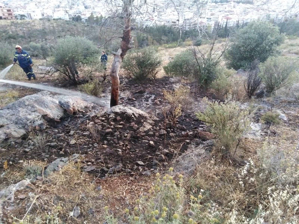 Σάββατο 08/05/21 και ώρα 19:50 εκδηλώθηκε φωτιά στον λόφο Αράπη, περιορίστηκε άμεσα