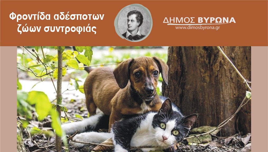 Ο Δήμος Βύρωνα παρέχει πλέον υπηρεσία διαχείρισης νεκρών αδέσποτων ζώων και ζώων συντροφιάς  