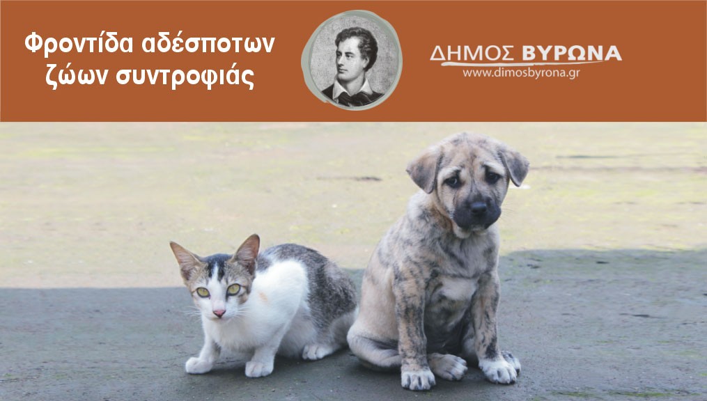 Επιχειρησιακό πρόγραμμα για αδέσποτα και Κανονισμός Λειτουργίας της Επιτροπής για τα ζώα συντροφιάς