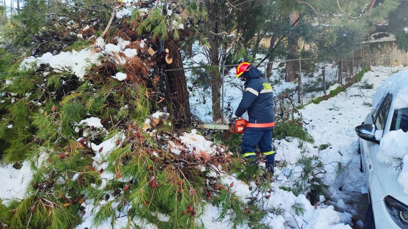 Aποχιονισμοί και κοπές σπασμένων κλαδιών και την Παρασκευή στους δρόμους του Βύρωνα! 