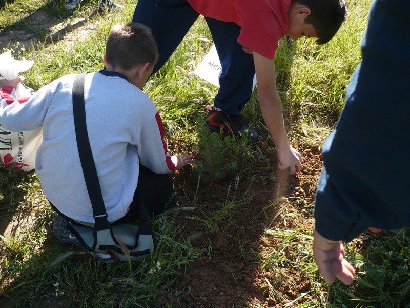 Ας κάνουμε ξανά πράσινο τον Υμηττό!