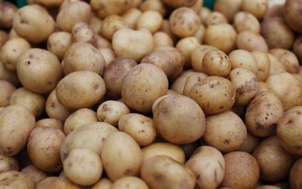 Στο Κίνημα Διάθεσης Προϊόντων χωρίς Μεσάζοντες ο Δήμος μας