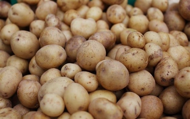 Ολοκληρώθηκε και η δεύτερη παραγγελία για πατάτες