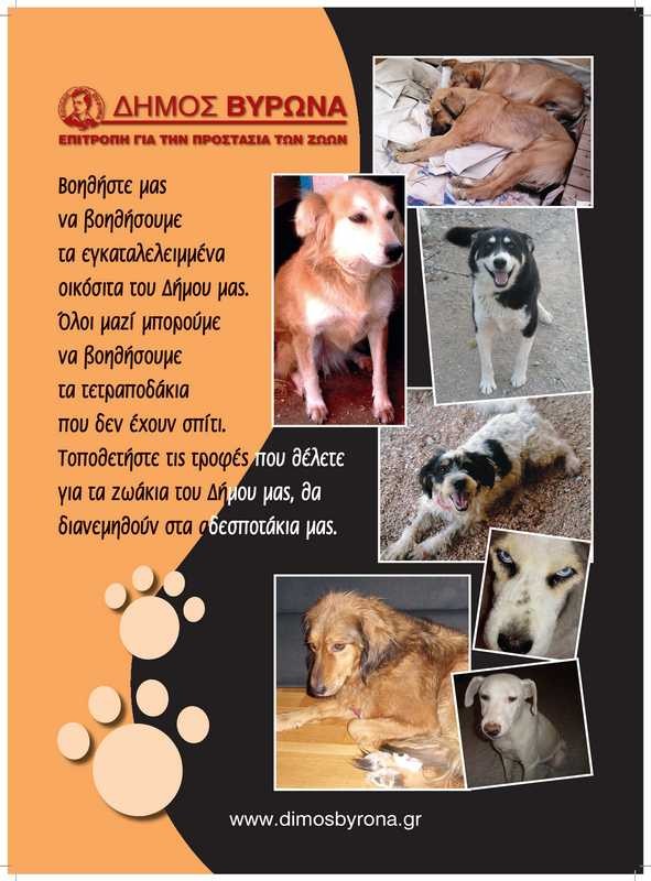 Συγκεντρώνουμε ζωοτροφές για τα αδέσποτα της πόλης μας