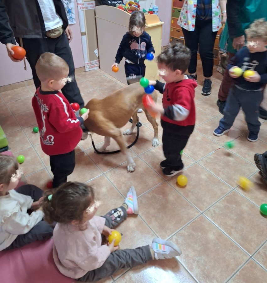 Συνεχίζεται το πρόγραμμα φιλοζωικής ευαισθητοποίησης στα σχολεία του Δήμου Βύρωνα με τον 2ο Παιδικό Σταθμό