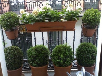 Μήπως το μπαλκόνι σας είναι «πράσινο»;