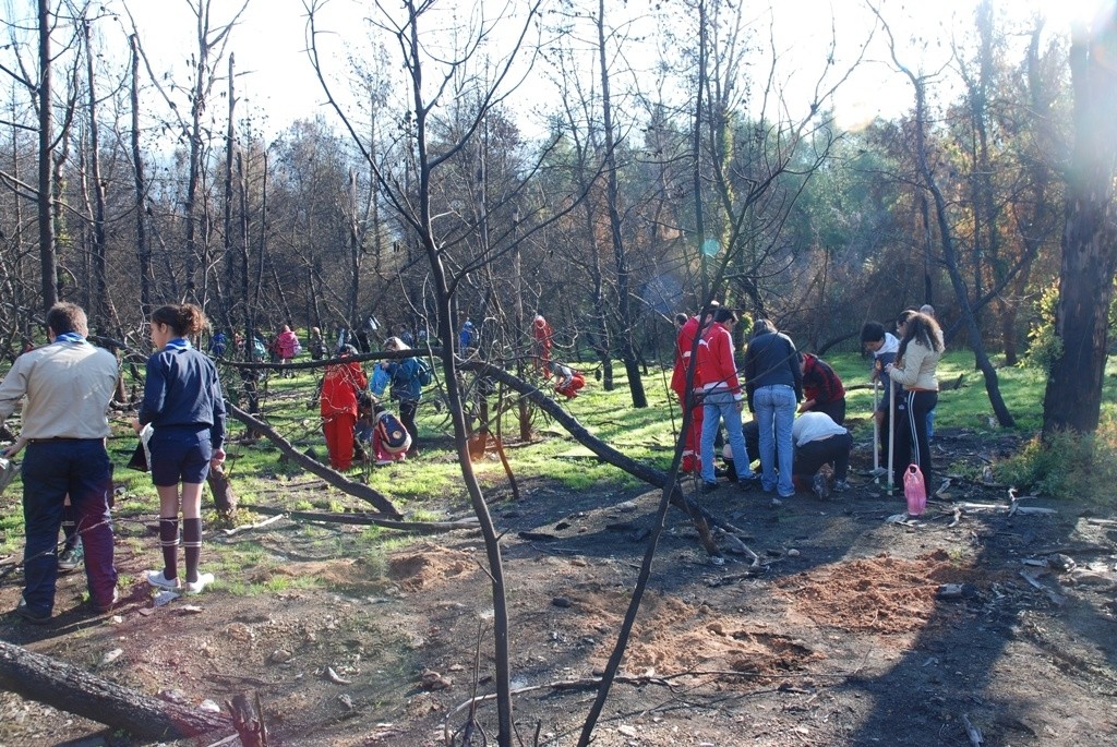 Τοπικές δράσεις για το παγκόσμιο περιβάλλον! 