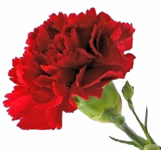 Ανακοίνωση της Δημοτικής Αρχής για την Εργατική Πρωτομαγιά