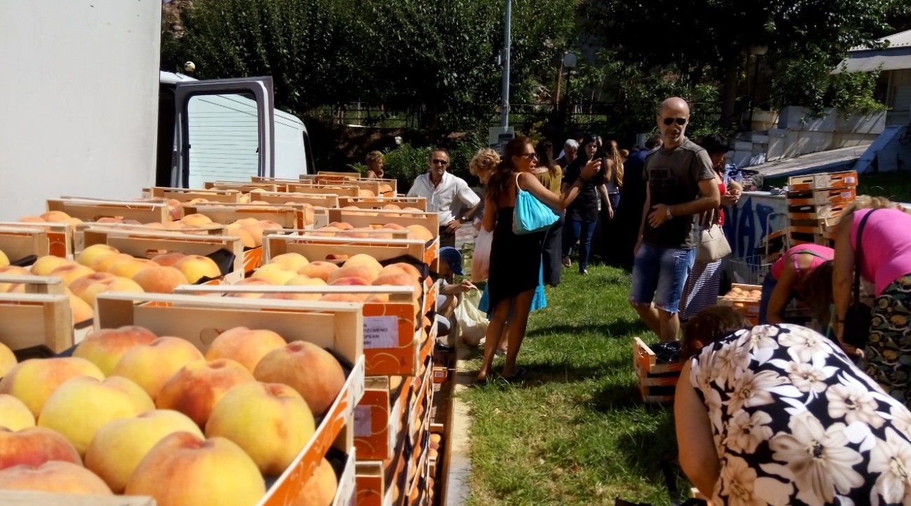 Δωρεάν διανομή ροδάκινων από τη  Διεύθυνση Κοινωνικής Πολιτικής, Παιδείας & Πολιτισμού του Δήμου Βύρωνα