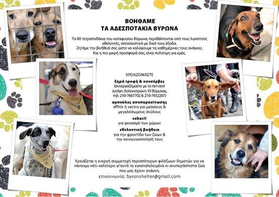 Βοηθάμε τα αδέσποτα του Βύρωνα