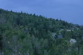 Ερωτηματολόγιο για το βουνό του Υμηττού