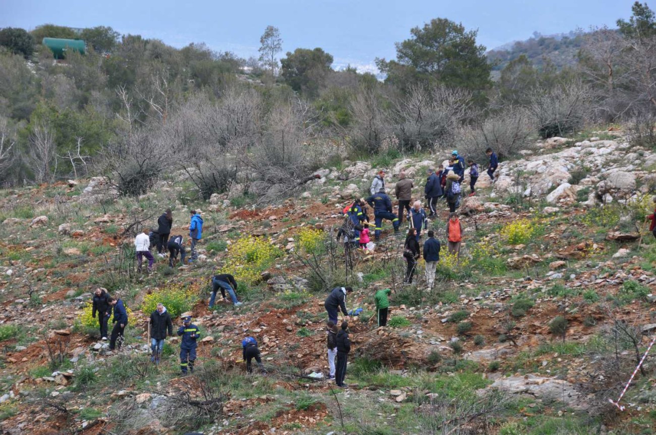 Αναδάσωση μέρος δεύτερο, με επιτυχία παρά την κακοκαιρία