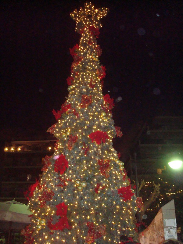 Το πιο όμορφο δέντρο είναι στο Δήμο Βύρωνα...