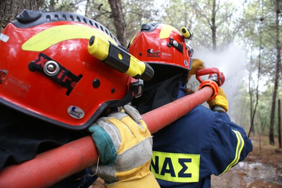Ευχαριστήριο μήνυμα της Διεύθυνσης Πολιτικής Προστασίας προς το Κέντρο Προστασίας Δασών και Φυσικού Περιβάλλοντος Βύρωνα