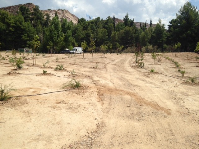 Ο Δήμος Βύρωνα αποκαθιστά το φυσικό περιβάλλον στην περιοχή «ΕΡΓΑΝΗ»