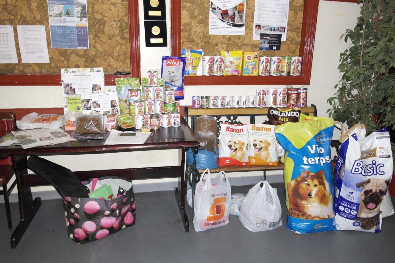 Ζήτημα ανθρωπιάς και στοίχημα πολιτισμού η προστασία των αδέσποτων ζώων