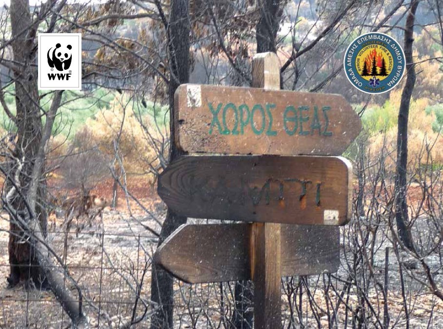 Τριήμερο εργαστήριo δασικών πυρκαγιών για εθελοντικές ομάδες στα «ΑΣΤΡΑ» στις 15, 16 και 17 Μαρτίου 2019