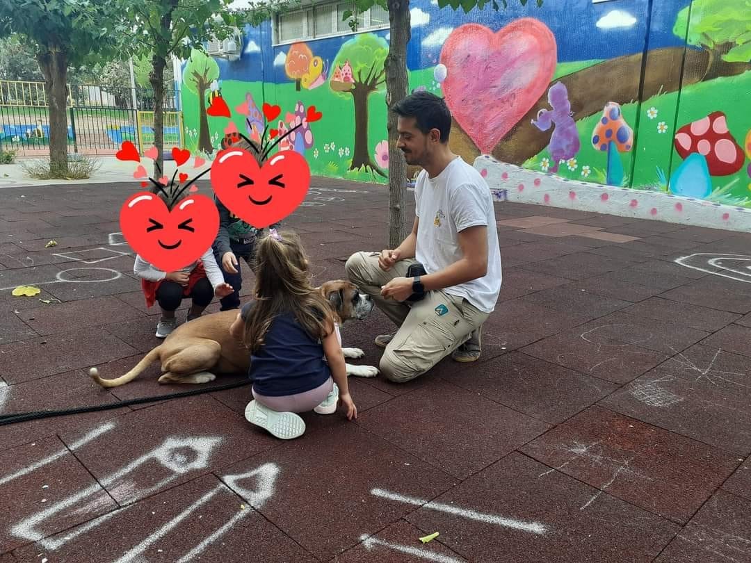 Παγκόσμια ημέρα των ζώων- Ο Δήμος Βύρωνα πρωτοπορεί στην προστασία των αδέσποτων! 