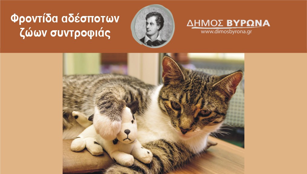 Στειρώσεις σε αδέσποτες γάτες από το Δήμο Βύρωνα