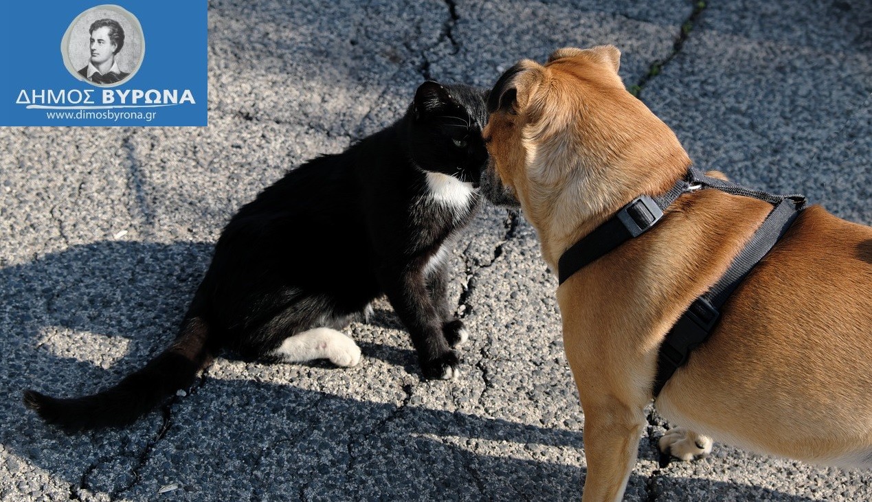 3μελής Ειδική Επιστημονική Επιτροπή για τα αδέσποτα και τα ζώα συντροφιάς