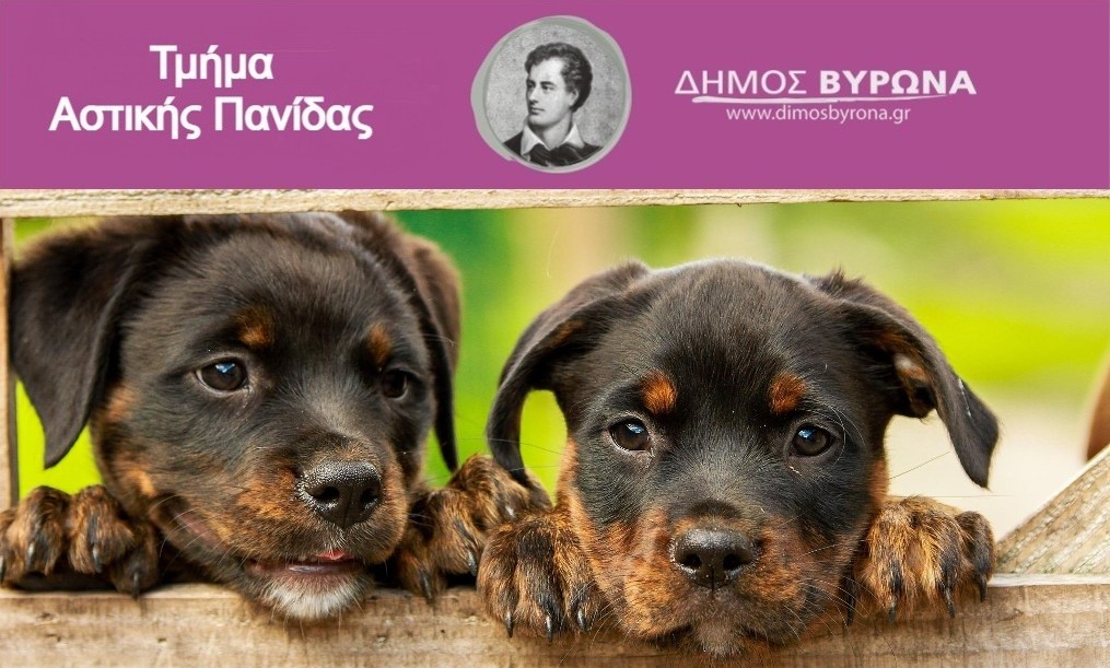 Αρχίζει και πάλι, για 3η συνεχόμενη χρονιά, το πρωτοποριακό σεμινάριο