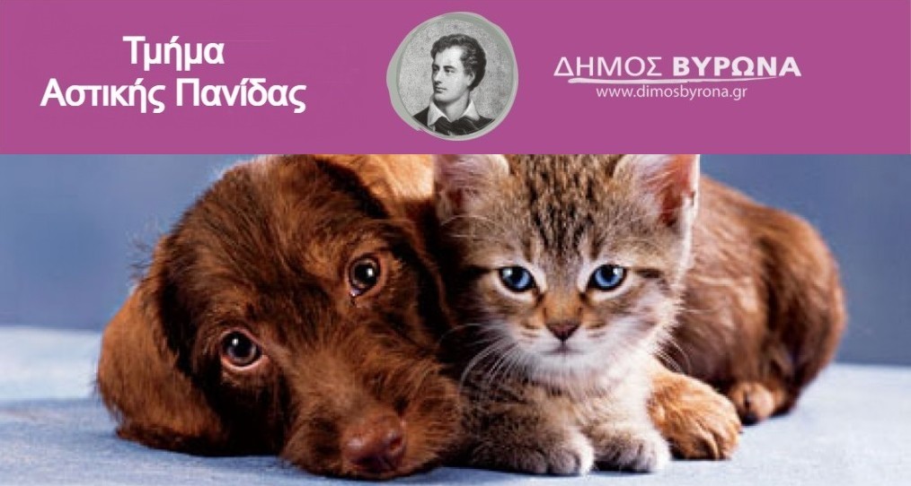 Ο Δήμος Βύρωνα αγαπάει & φροντίζει τα ζώα!