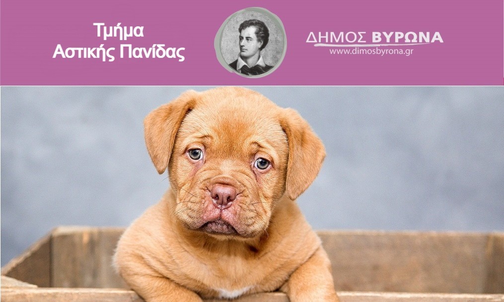 Σεμινάρια επιμόρφωσης πολιτών και φιλοζωικής ευαισθητοποίησης παιδιών από το Δήμο Βύρωνα 