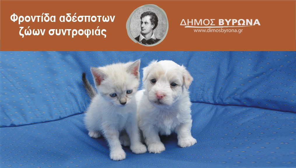 Εκπαιδευτικό βιωματικό φιλοζωικό πρόγραμμα για μαθητές στο 1ο Γυμνάσιο Βύρωνα