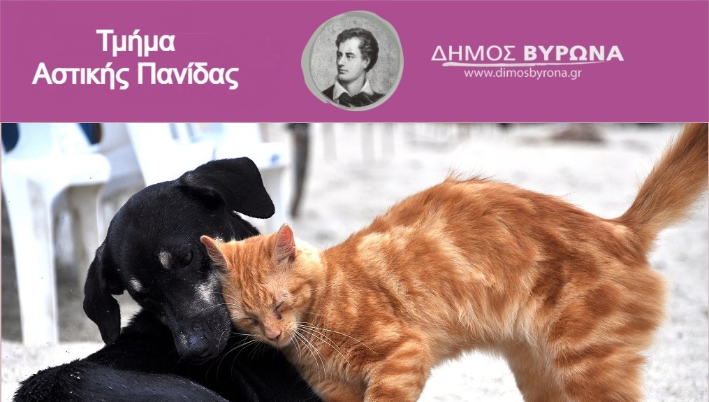 Χρηματοδότηση του Δήμου Βύρωνα για τα αδέσποτα, από το πρόγραμμα Φιλόδημος 