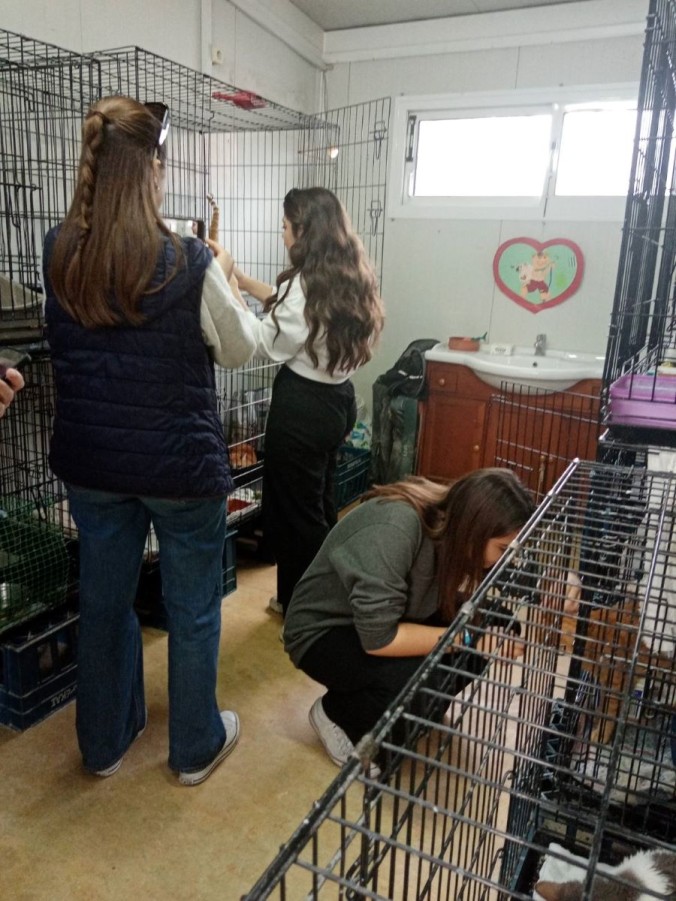 Καταφύγιο «ανθρωπιάς» Μια Επίσκεψη στον χώρο της Βραχείας Φιλοξενίας της υπηρεσίας Αστικής Πανίδας του Δήμου Βύρωνα - 5ο Λύκειο Βύρωνα