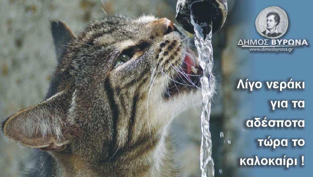 Τώρα το καλοκαίρι, λίγο νεράκι για τα ζώα!