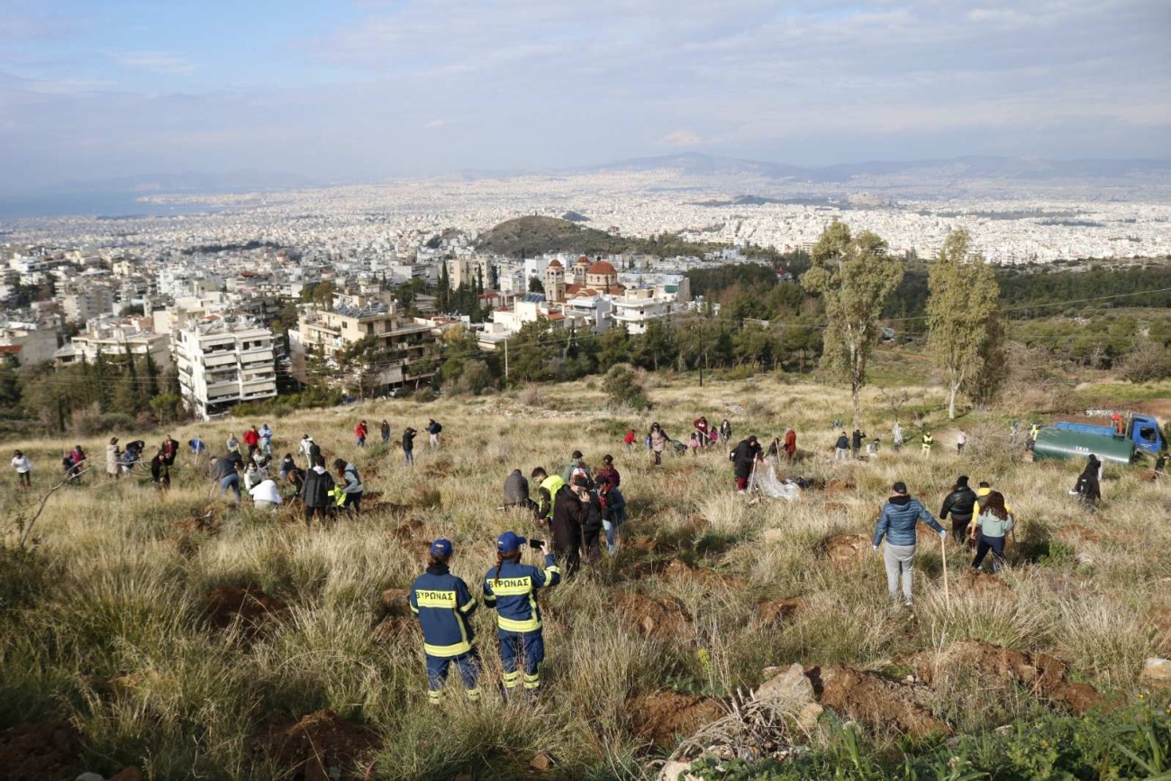 Δενδροφύτευση στον Υμηττό από εθελοντές δασοπυροσβέστες και το Τμήμα Πολιτικής Προστασίας Βύρωνα