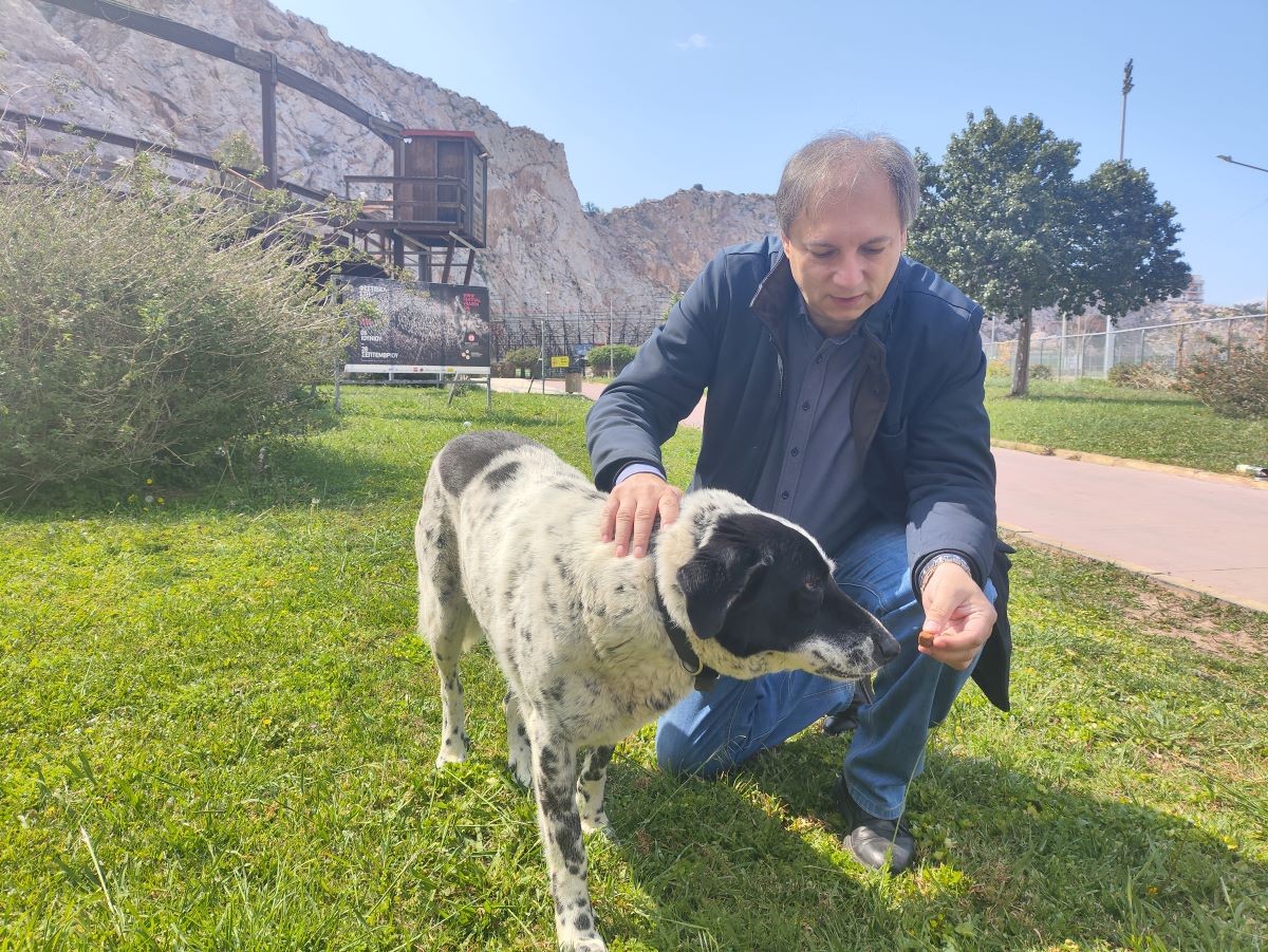 4 Απριλίου 2025 - Παγκόσμια Ημέρα Αδέσποτων Ζώων 