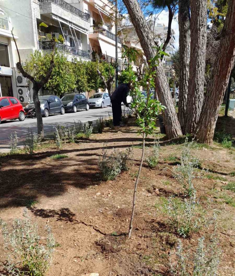 Δενδροφυτεύσεις στο Πάρκο Καραολή & Δημητρίου - Μία ανάσα πρασίνου για την πόλη μας
