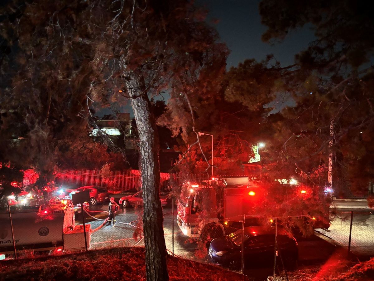 Άμεση κινητοποίηση και αποτελεσματική επέμβαση της Πυροσβεστικής Υπηρεσίας, της εθελοντικής ομάδας δασοπροστασίας Βυρώνα και του Δήμου για την αντιμετώπιση πυρκαγιάς στον Καρέα