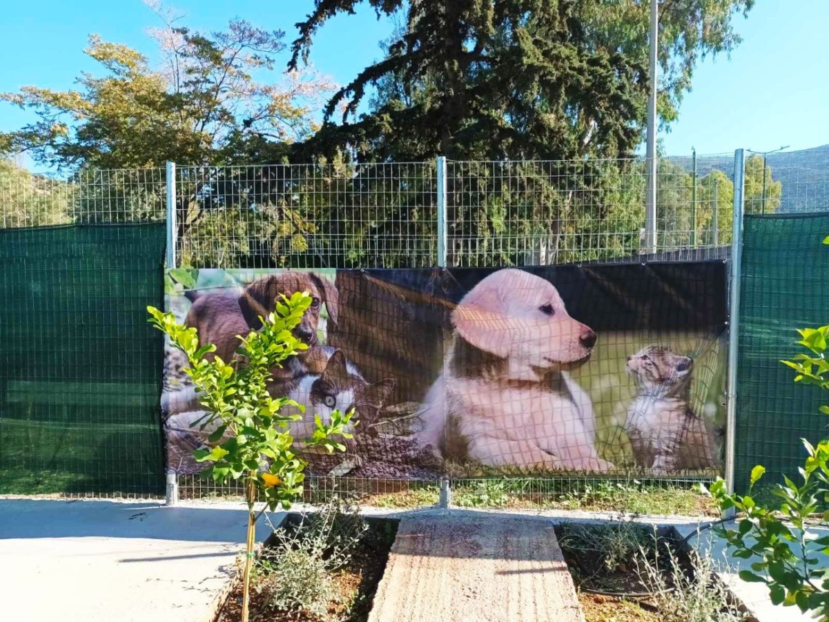 Μια όμορφη γιορτή για τα αδέσποτα, στο νέο χώρο προσωρινής φιλοξενίας του Δήμου Βύρωνα