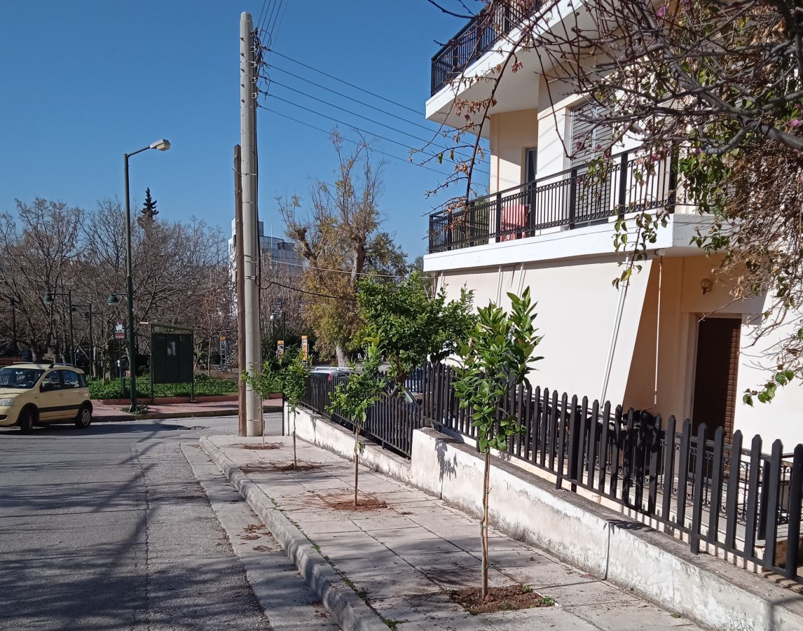 Νέες φυτεύσεις δένδρων σε πεζοδρόμια του Βύρωνα 