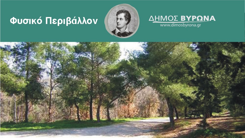 Έκτακτη σύσκεψη του Συντονιστικού Τοπικού Οργάνου για τον ακραίο κίνδυνο πυρκαγιάς την Κυριακή 23/7