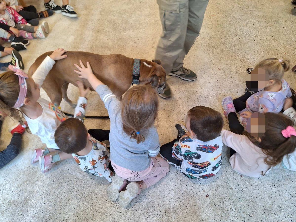 Σε Εκπαιδευτικό φιλοζωικό πρόγραμμα της Υπηρεσίας Αστικής Πανίδας του Δήμου Βύρωνα συμμετείχαν τα παιδιά του 5ου Παιδικού Σταθμού 