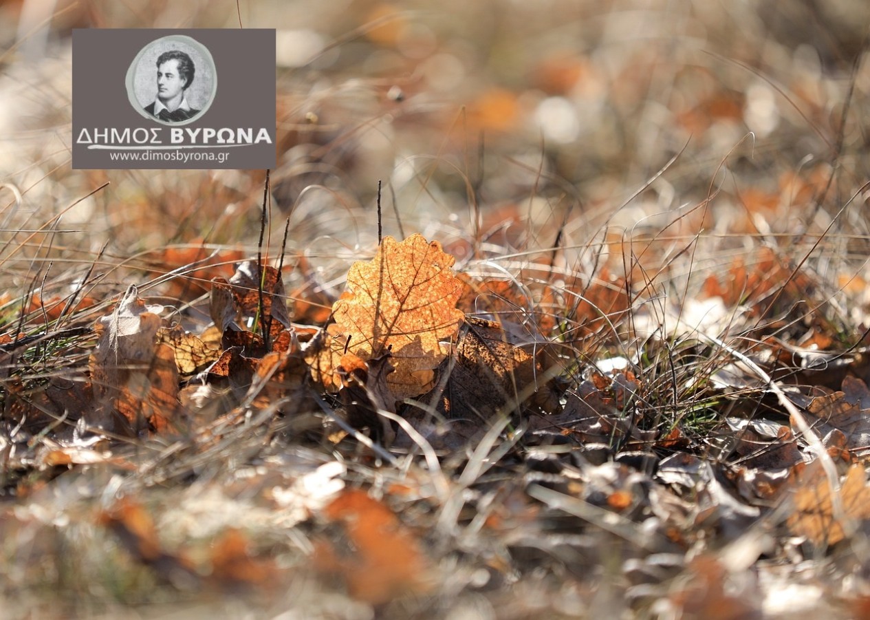 Πυροπροστασία - Καθαρισμός Οικοπέδων/ Ηλεκτρονικά η δήλωση για τον καθαρισμό, πήρε παράταση μέχρι 15 Ιουλίου 2024