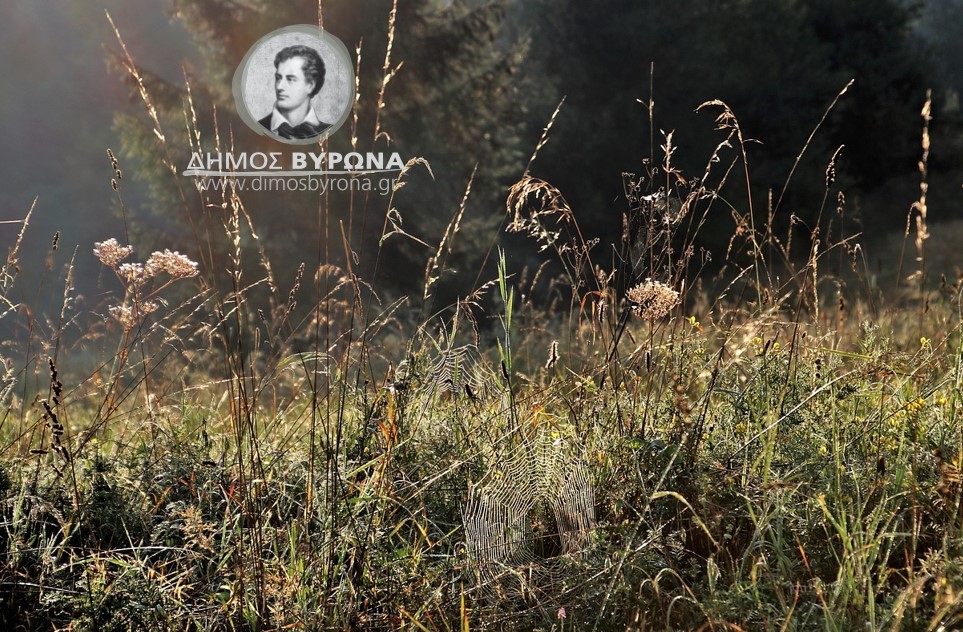 Παράταση προθεσμίας καθαρισμού οικοπέδων