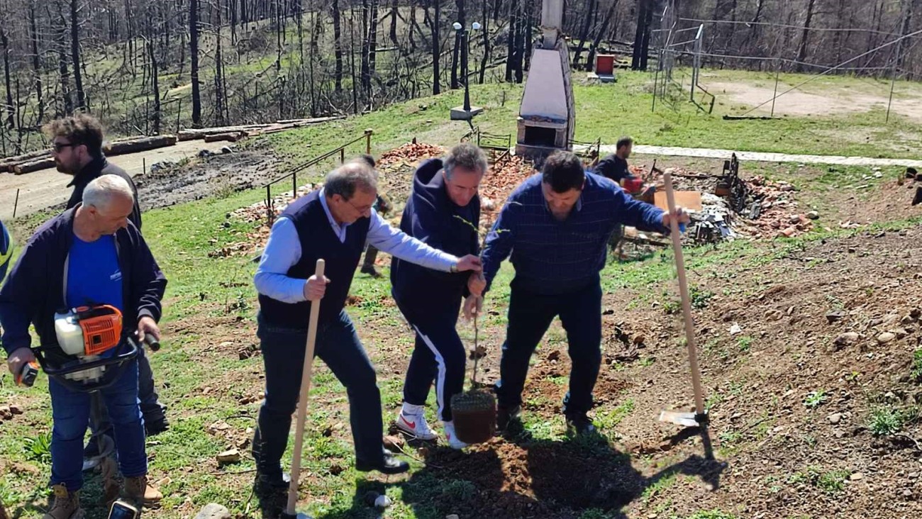 Δενδροφύτευση και έμπρακτη στήριξη των πυρόπληκτων της Βόρειας Εύβοιας από το Δήμο Βύρωνα